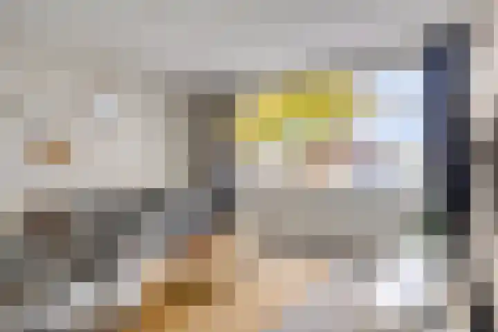 Lage Witsiebaan 94 Tilburg thumbnail 14