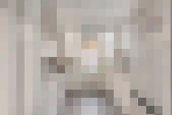 Lage Witsiebaan 94 Tilburg thumbnail 5