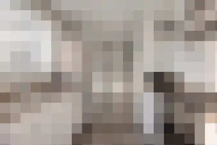 Lage Witsiebaan 94 Tilburg thumbnail 6