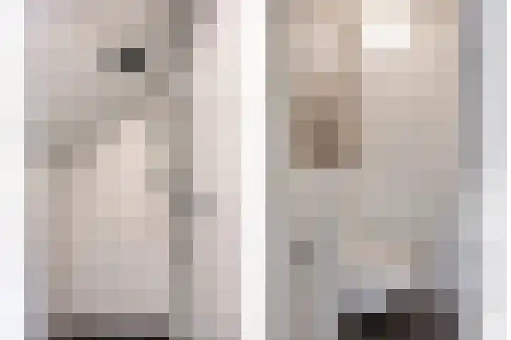 Lage Witsiebaan 94 Tilburg thumbnail 8