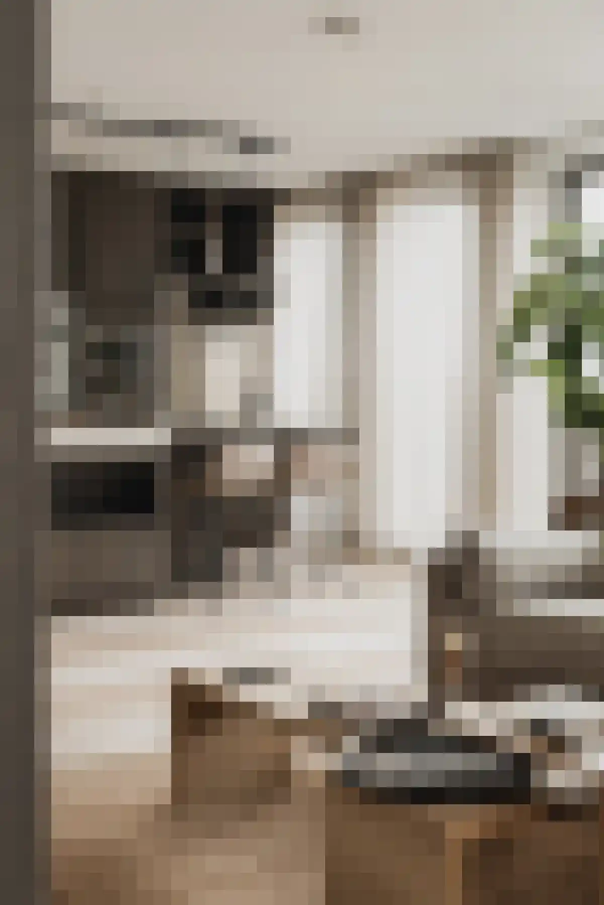 Lage Zand 162 Den Haag thumbnail 6
