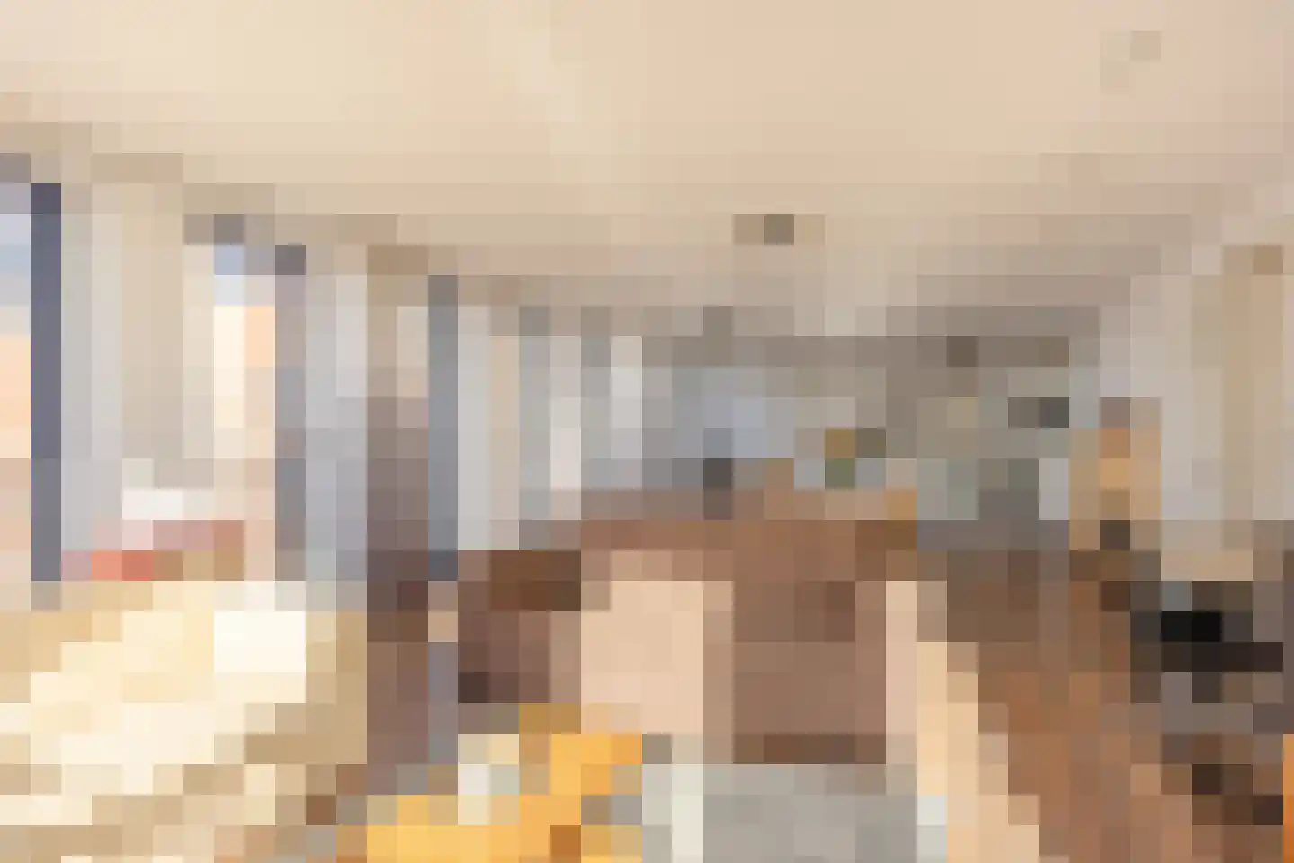 Lage Zand 266 Den Haag thumbnail 15