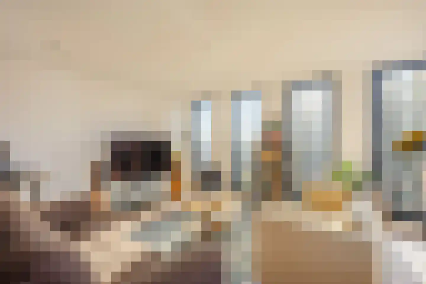 Lage Zand 266 Den Haag thumbnail 16