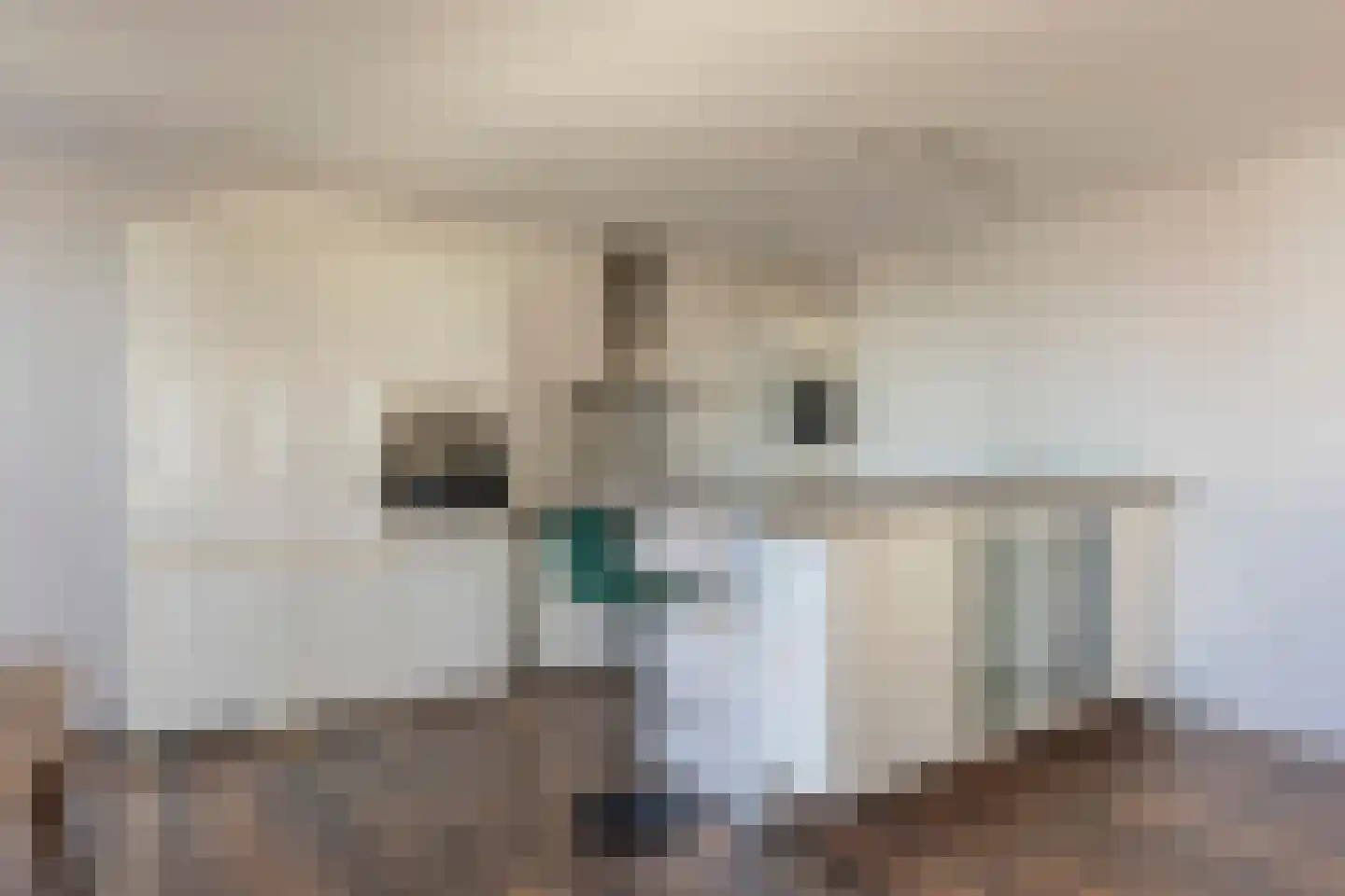 Lage Zand 266 Den Haag thumbnail 22