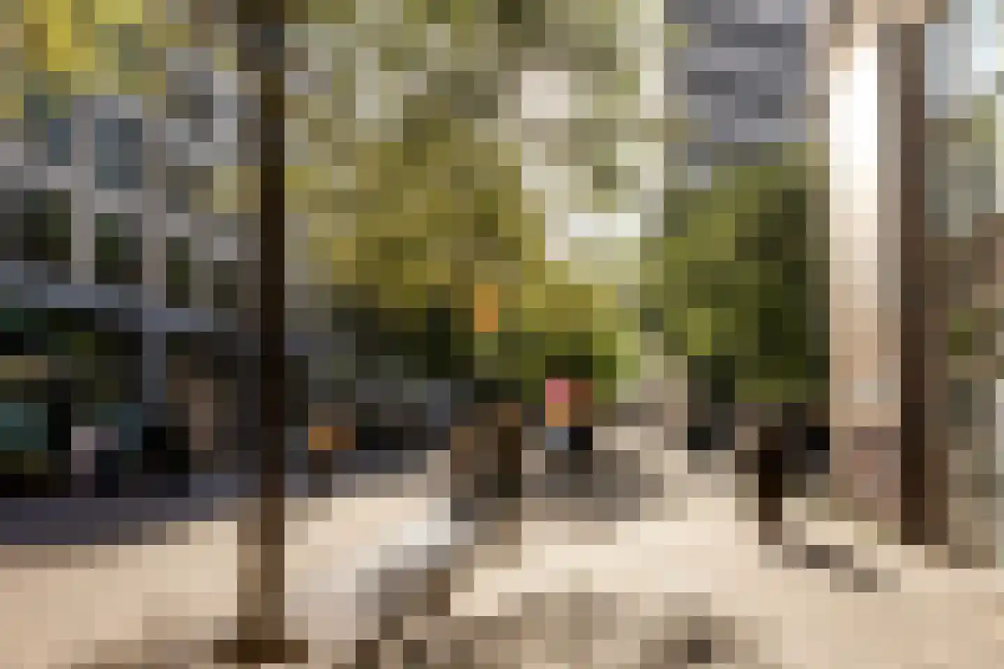 Lage Zand 266 Den Haag thumbnail 36