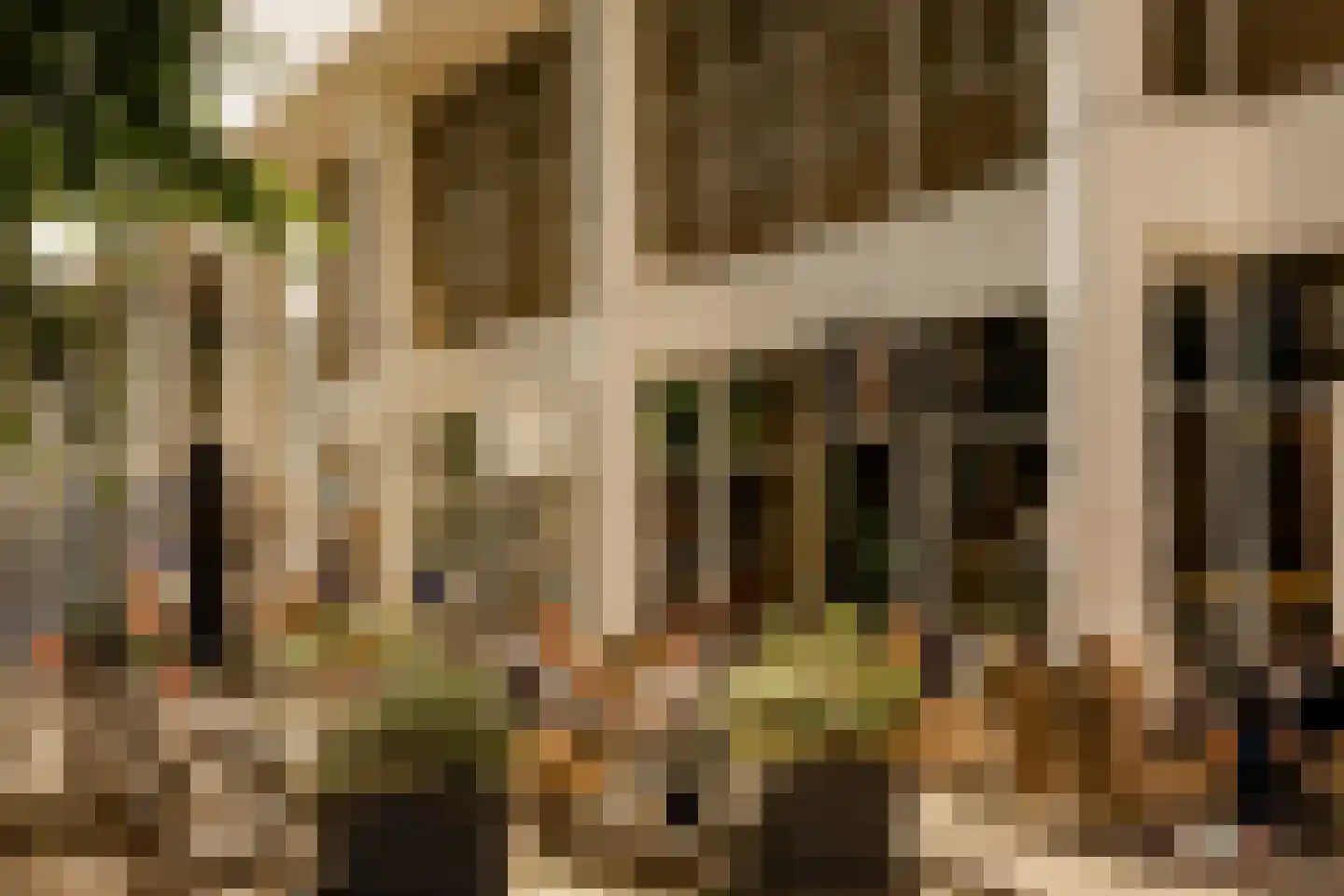 Lage Zand 266 Den Haag thumbnail 37