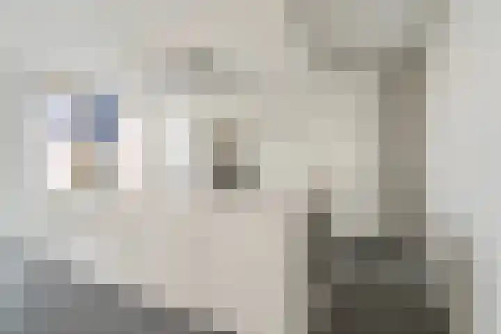 Lage Zand 278 Den Haag thumbnail 11