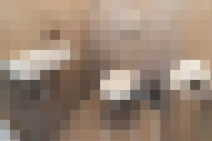 Lage Zand 278 Den Haag thumbnail 20