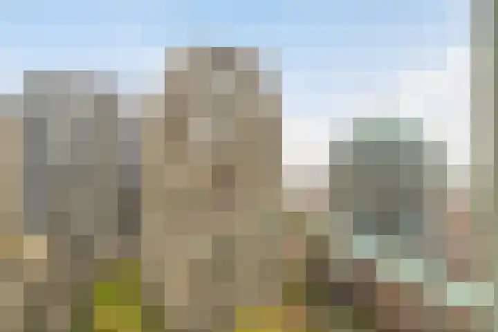 Lage Zand 278 Den Haag thumbnail 21