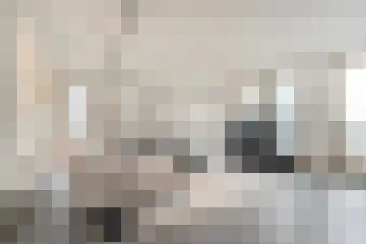 Lage Zand 278 Den Haag thumbnail 4