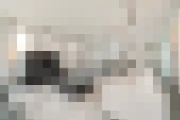 Lage Zand 278 Den Haag thumbnail 7