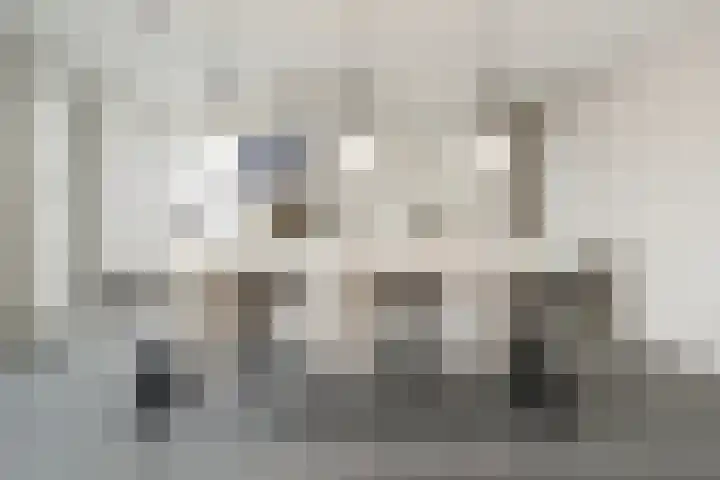 Lage Zand 278 Den Haag thumbnail 8