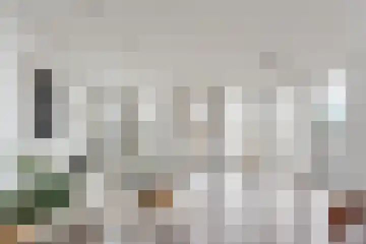 Lage Zand 310 Den Haag thumbnail 11