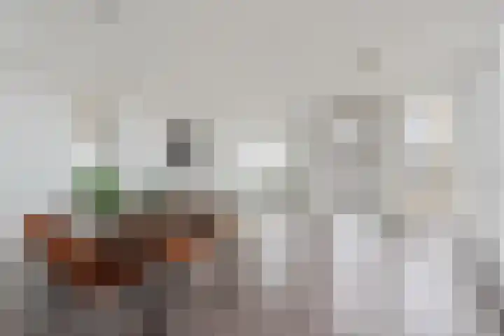 Lage Zand 310 Den Haag thumbnail 15