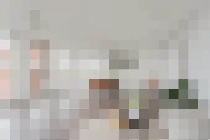 Lage Zand 310 Den Haag thumbnail 18