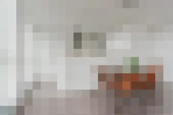 Lage Zand 310 Den Haag thumbnail 19