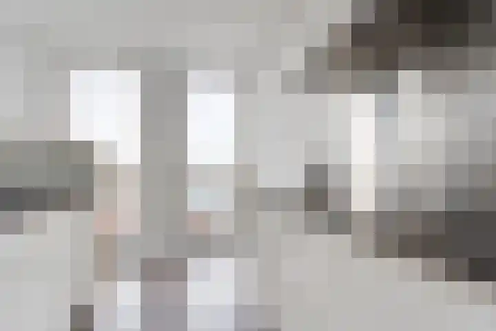 Lage Zand 310 Den Haag thumbnail 21