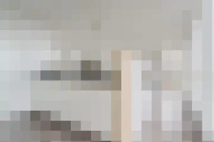 Lage Zand 310 Den Haag thumbnail 22