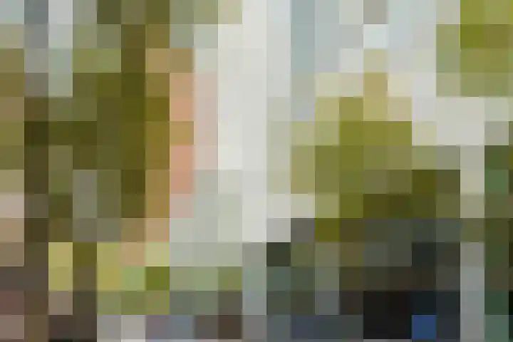 Lage Zand 310 Den Haag thumbnail 36