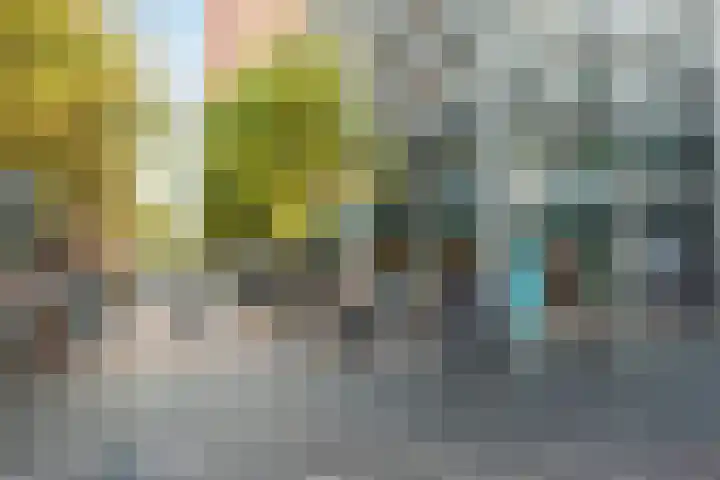 Lage Zand 310 Den Haag thumbnail 37