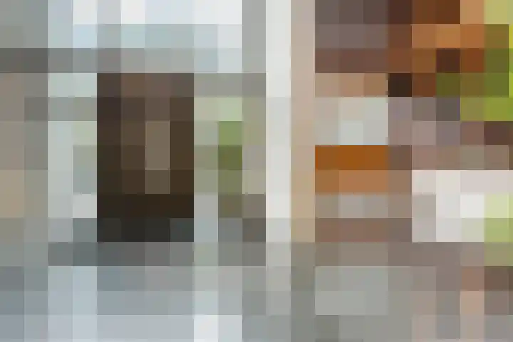 Lage Zand 310 Den Haag thumbnail 6