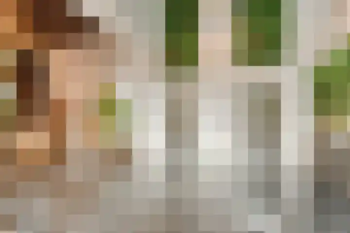 Lage Zand 310 Den Haag thumbnail 7