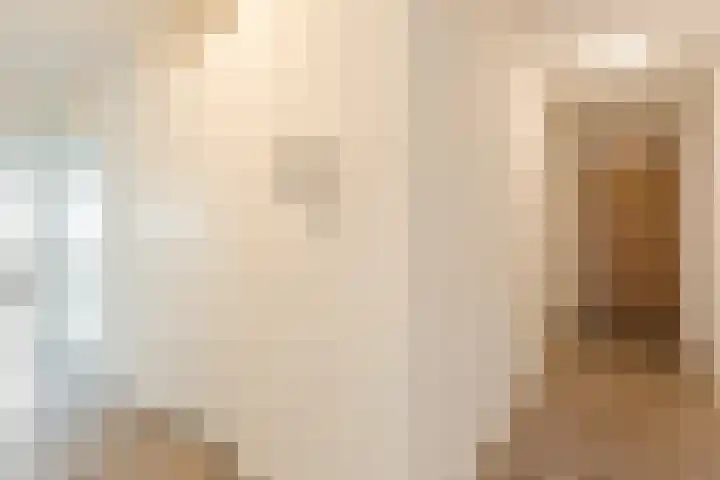 Lage Zand 310 Den Haag thumbnail 9