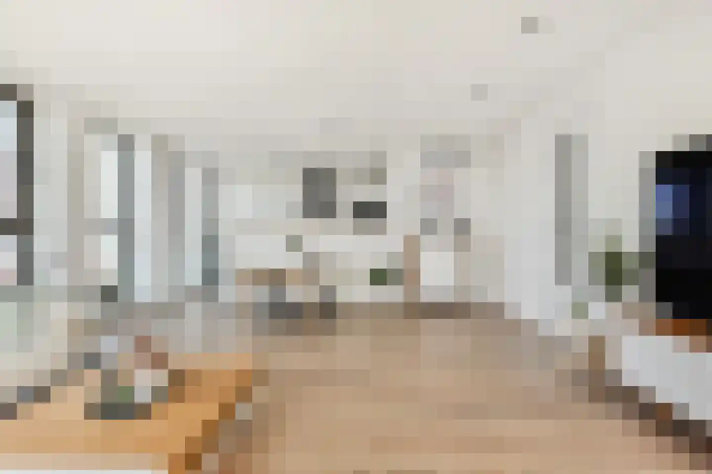 Lage Zand 330 Den Haag thumbnail 10