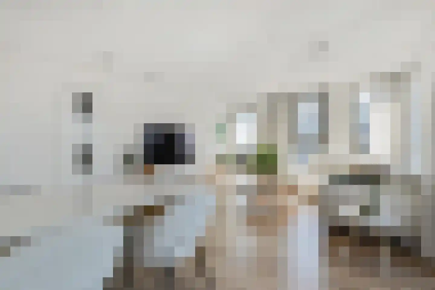 Lage Zand 330 Den Haag thumbnail 13