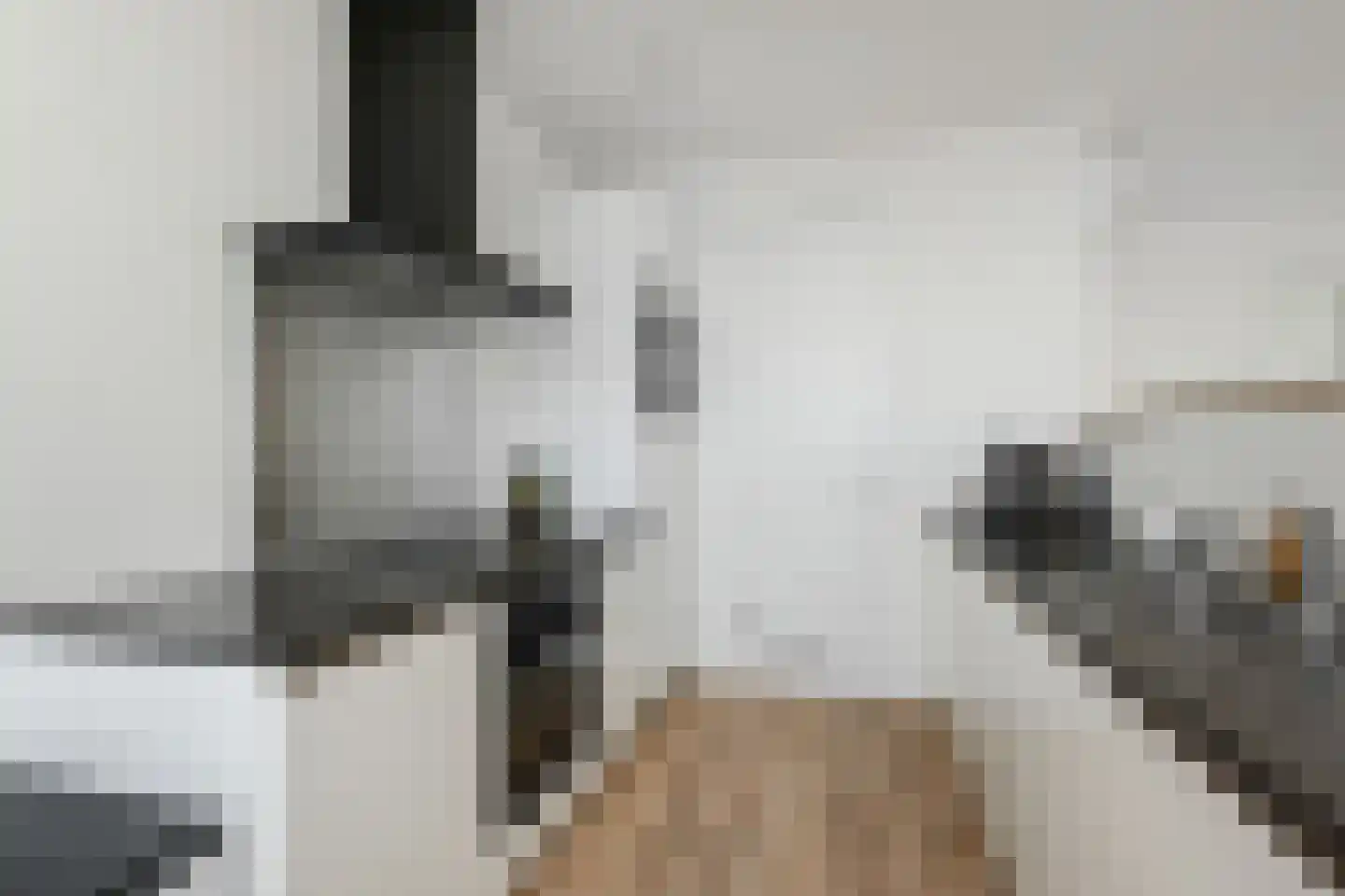 Lage Zand 330 Den Haag thumbnail 14
