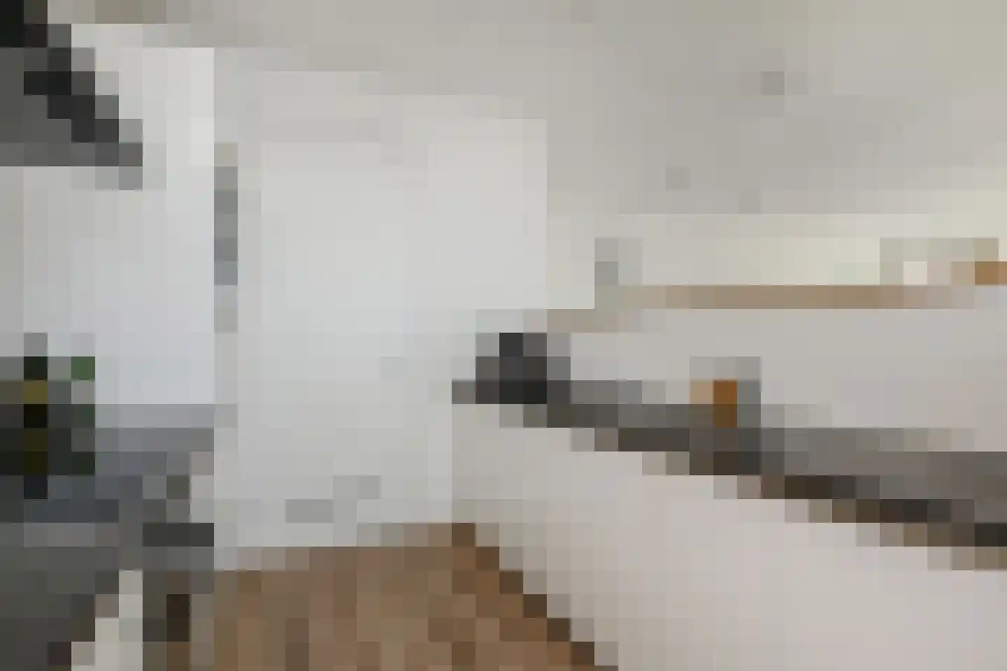 Lage Zand 330 Den Haag thumbnail 15