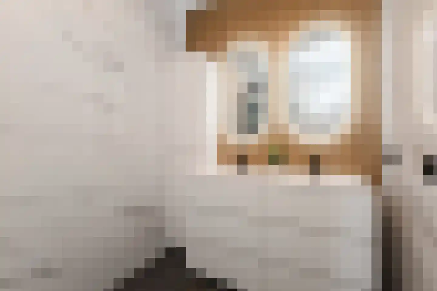 Lage Zand 330 Den Haag thumbnail 26