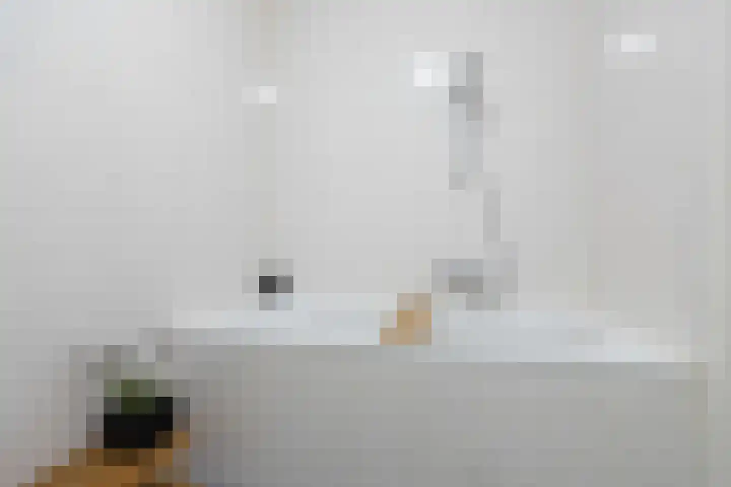 Lage Zand 348 Den Haag thumbnail 13