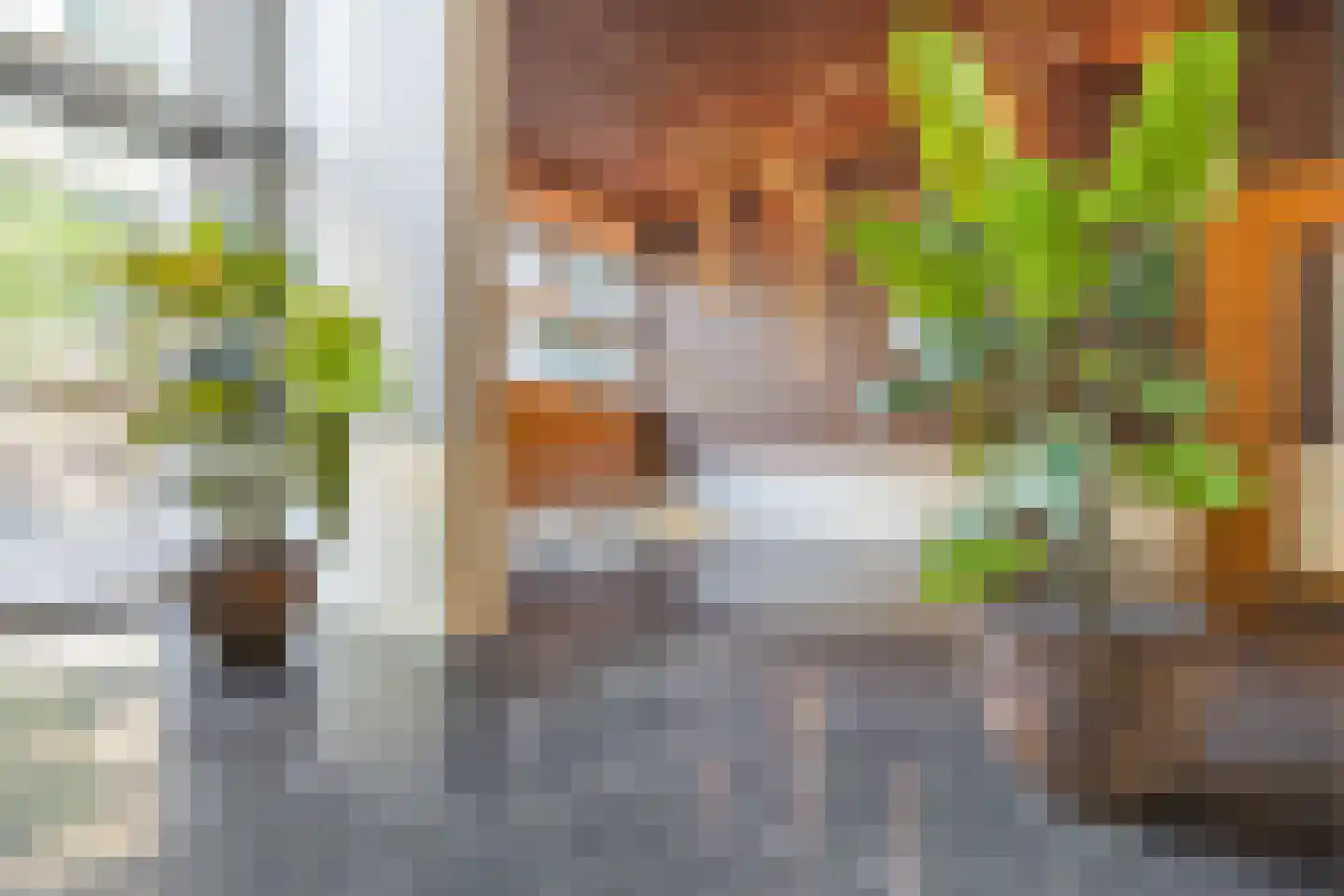 Lage Zand 348 Den Haag thumbnail 17