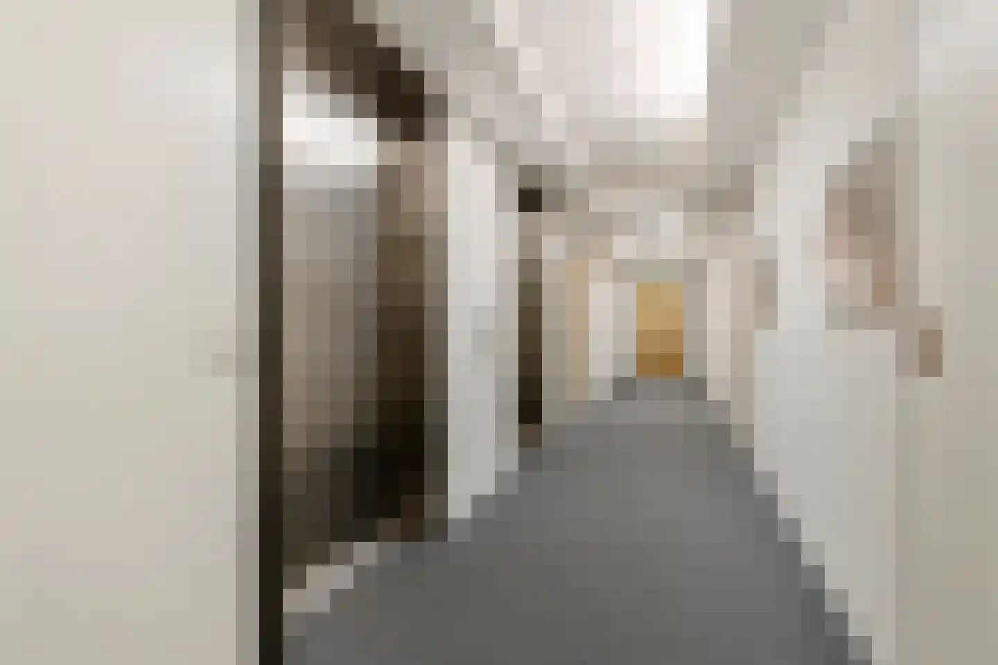 Lage Zand 364 Den Haag thumbnail 12
