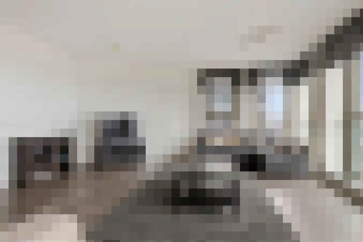 Lage Zand 364 Den Haag thumbnail 14