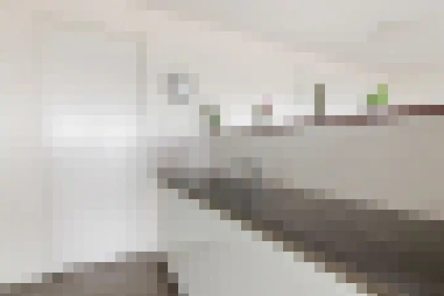 Lage Zand 364 Den Haag thumbnail 17
