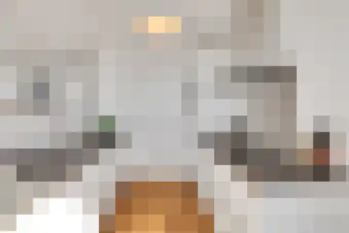 Lage Zand 386 Den Haag thumbnail 13