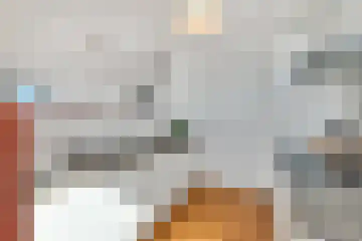 Lage Zand 386 Den Haag thumbnail 14