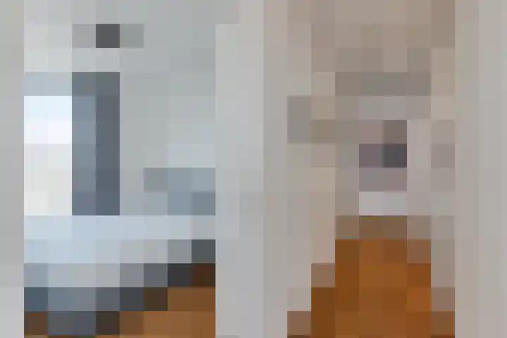 Lage Zand 386 Den Haag thumbnail 15