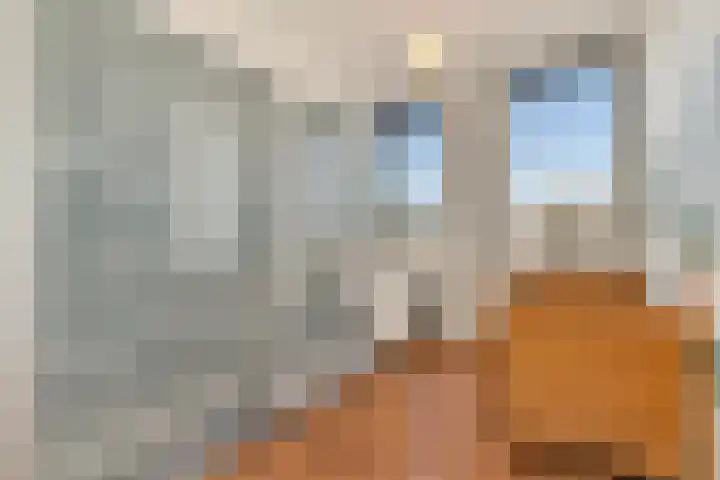 Lage Zand 386 Den Haag thumbnail 24