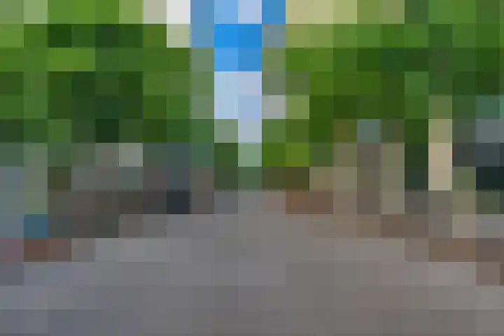 Lage Zand 386 Den Haag thumbnail 34