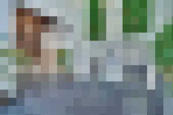 Lage Zand 386 Den Haag thumbnail 4