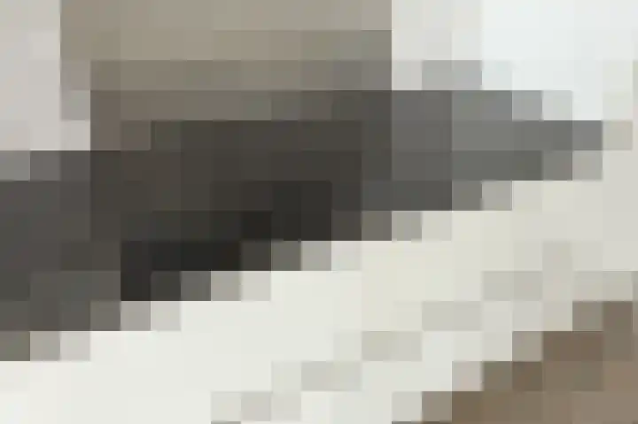 Lage Zand 414 Den Haag thumbnail 17