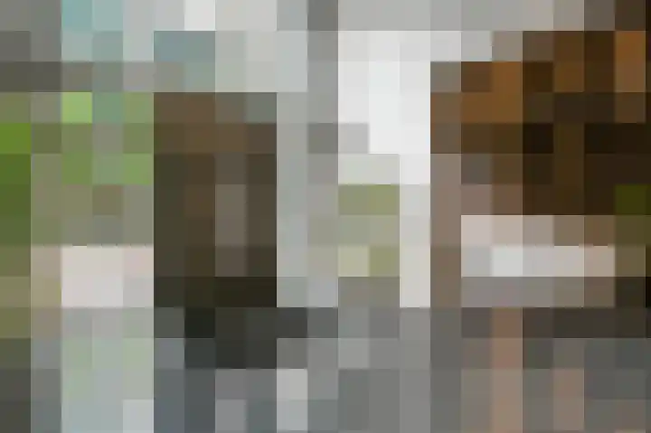 Lage Zand 414 Den Haag thumbnail 8