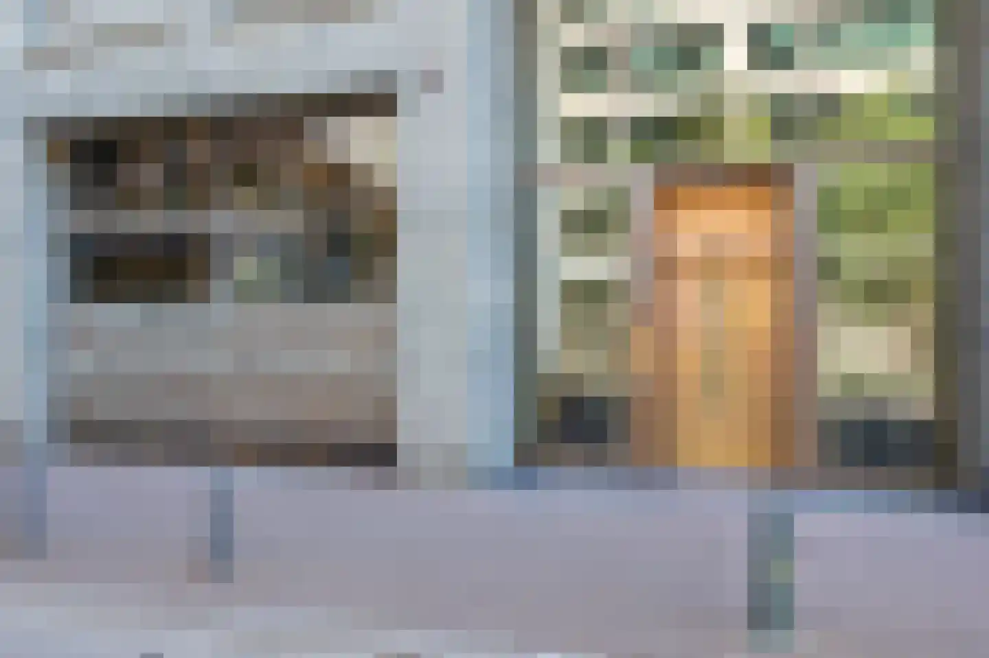 Lage Zand 446 Den Haag thumbnail 6