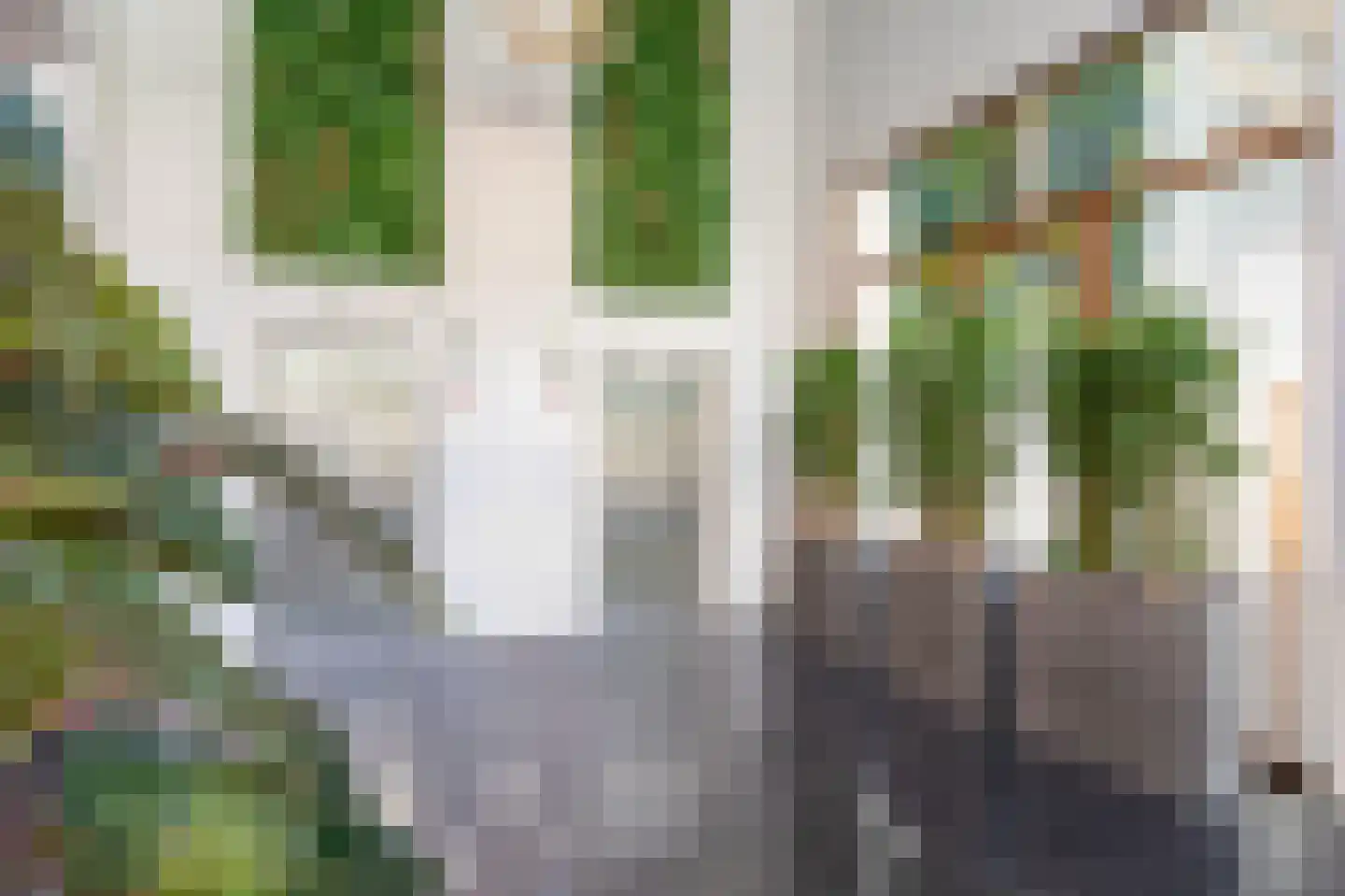 Lage Zand 446 Den Haag thumbnail 8