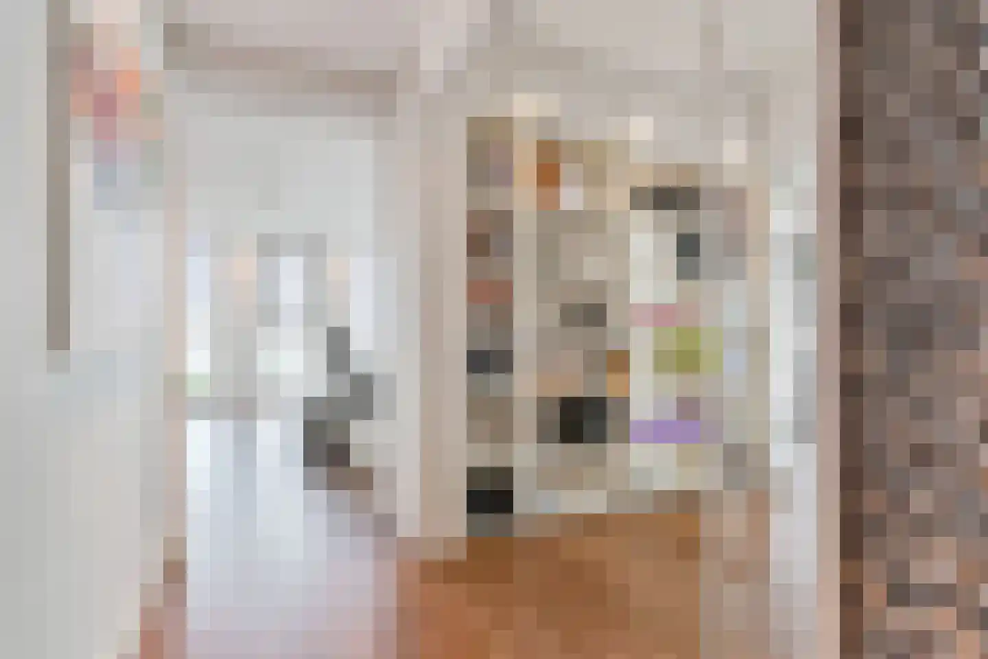 Lage Zand 502 Den Haag thumbnail 13