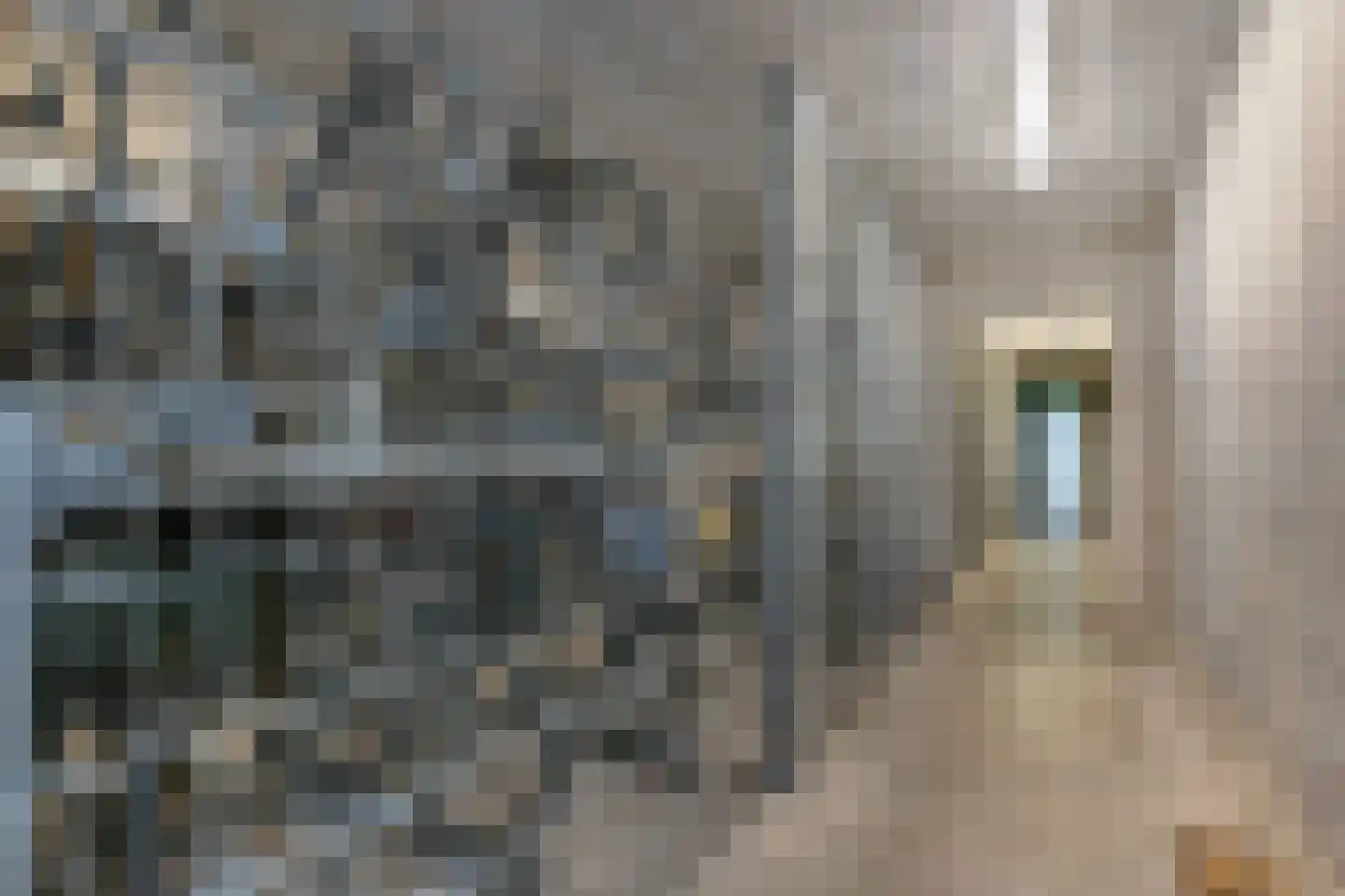 Lage Zand 502 Den Haag thumbnail 54