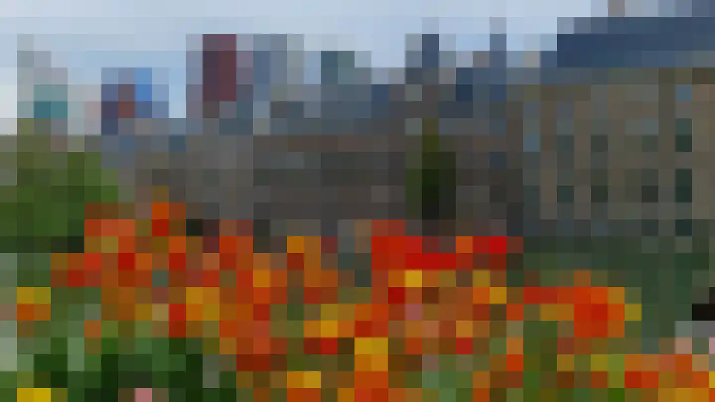 Lage Zand 502 Den Haag thumbnail 59
